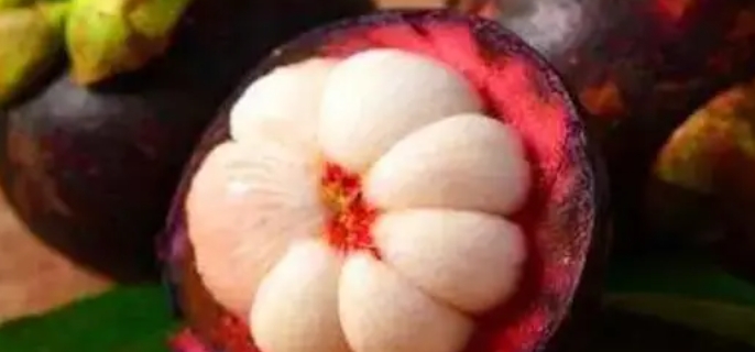 山竹是什么季节的水果