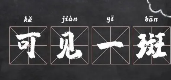 可见一斑的意思是什么