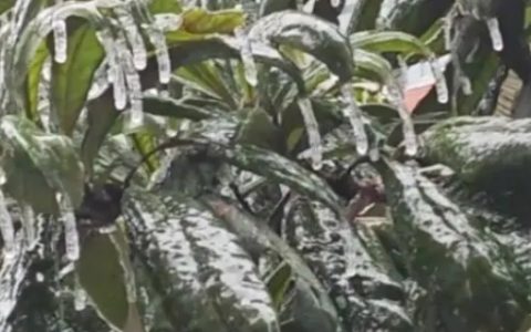 冻雨是怎样形成的