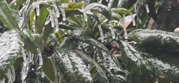 冻雨是怎样形成的