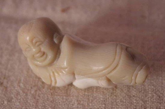 珊瑚玉什么颜色最好养，建议养白色珊瑚玉