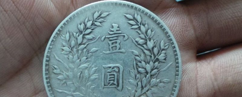 袁大头怎么鉴别_https://www.wearwu.com_古币_第1张
