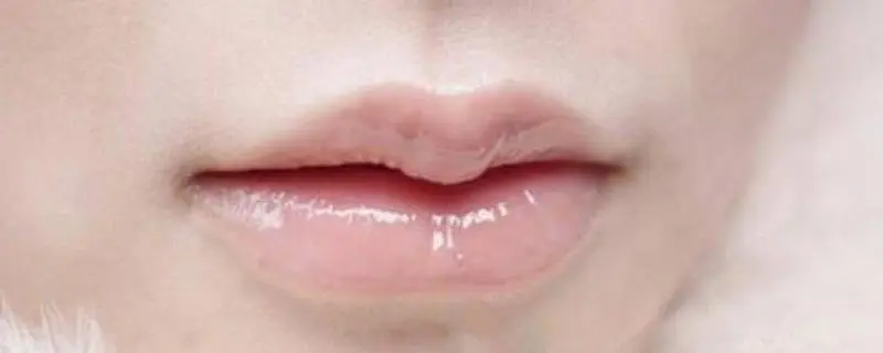 有唇珠的女人代表什么